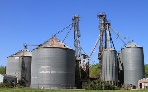 death via corn silo