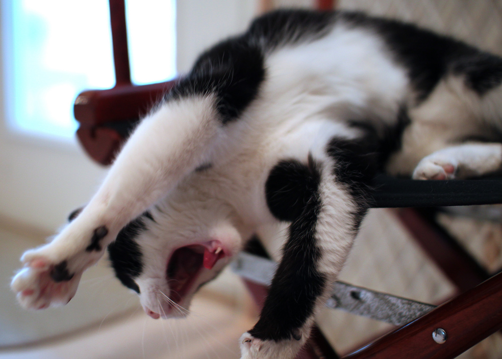 Stretch It Out