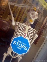 Back Injuries Cost Between $6-10 Billion in Losses a Year