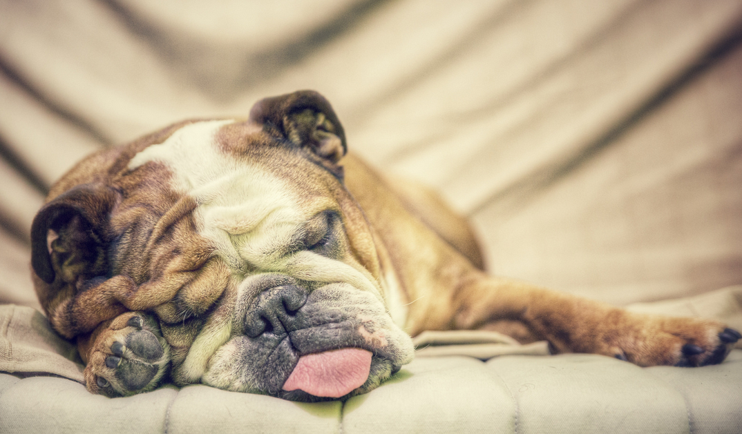 Trouble Sleeping…