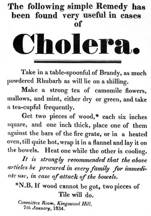 Do you Consider Yourself Health Literate?