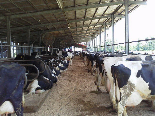 Local Emphasis Program on Meat Industry in NE