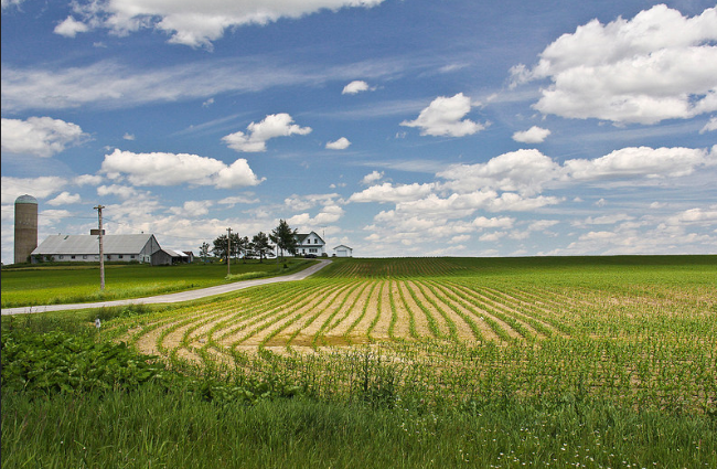 New Mexico Farm Worker Exemption Ruled Unconstitutional