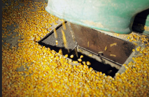 PA Feed Mill Cited for Repeat Combustible Dust Violation