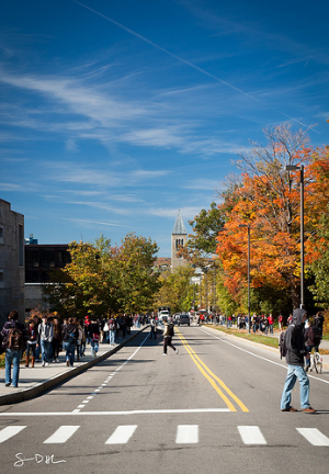 College Employee Gets WC For Injury In-Between Parts of Campus