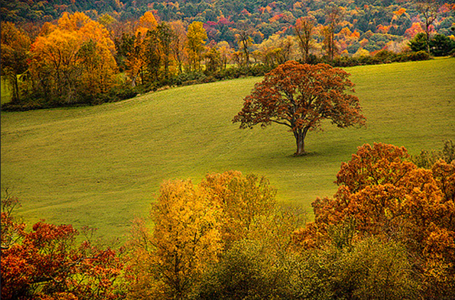 CT Employers Seeing Lower OSHA Penalties, Number of Fines