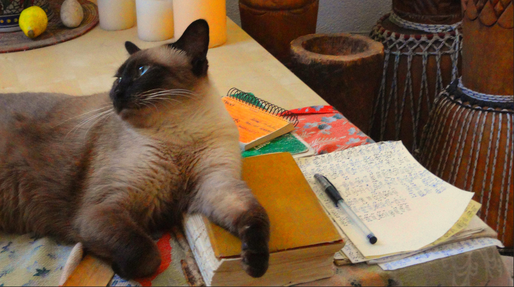 OSHA’s Volks Rule May Soon Be Overturned