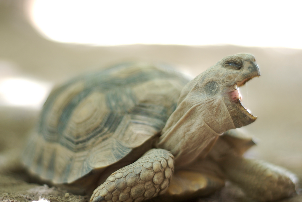 Which Occupations Don’t Get Enough Sleep?