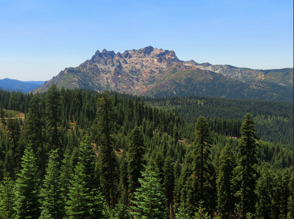 CWCI Reports CA’s Sierras Region, 4 Industries Account for Half of WC Claims