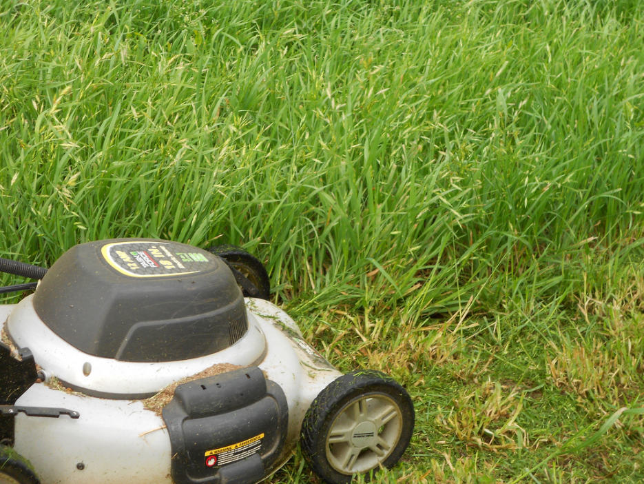 Injured Worker Is Awarded Lawn Care as Treatment, Denied Home Renovations