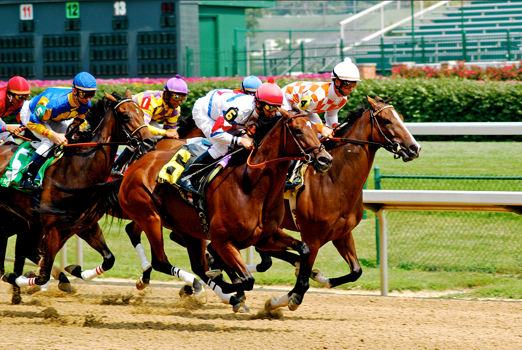 HB 1 Has Measurable Impact on Opioid Dispensing and Prescribing in KY