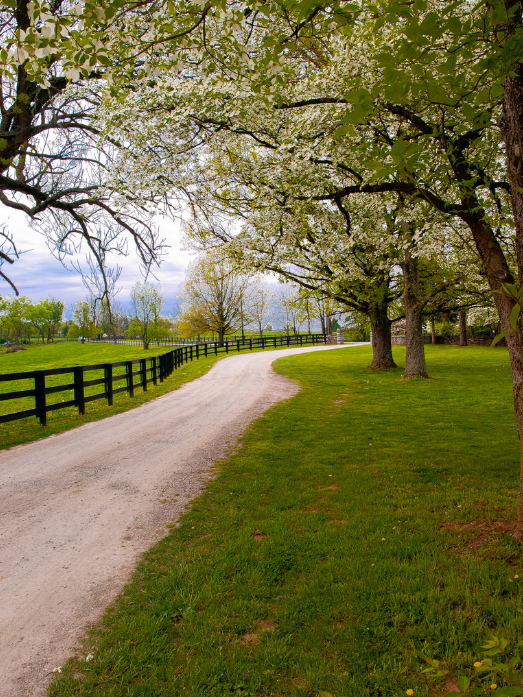 Changes in KY Workers’ Comp System Become Closer to Law