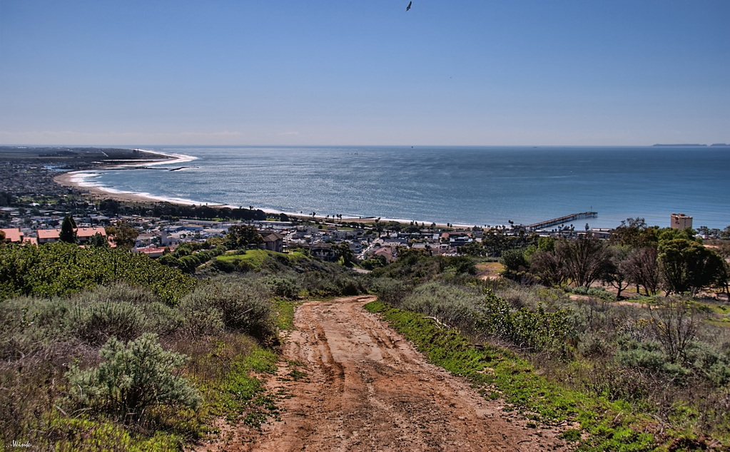 WCIRB Study on Impact of ACA on California’s Workers’ Comp