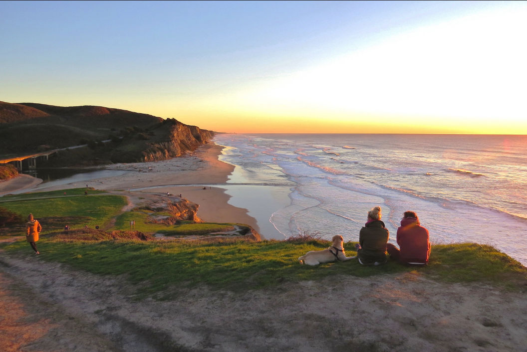 CWCI Study Shows WC Inpatient Stays and Spinal Surgeries Dropped Between 2008 and 2016