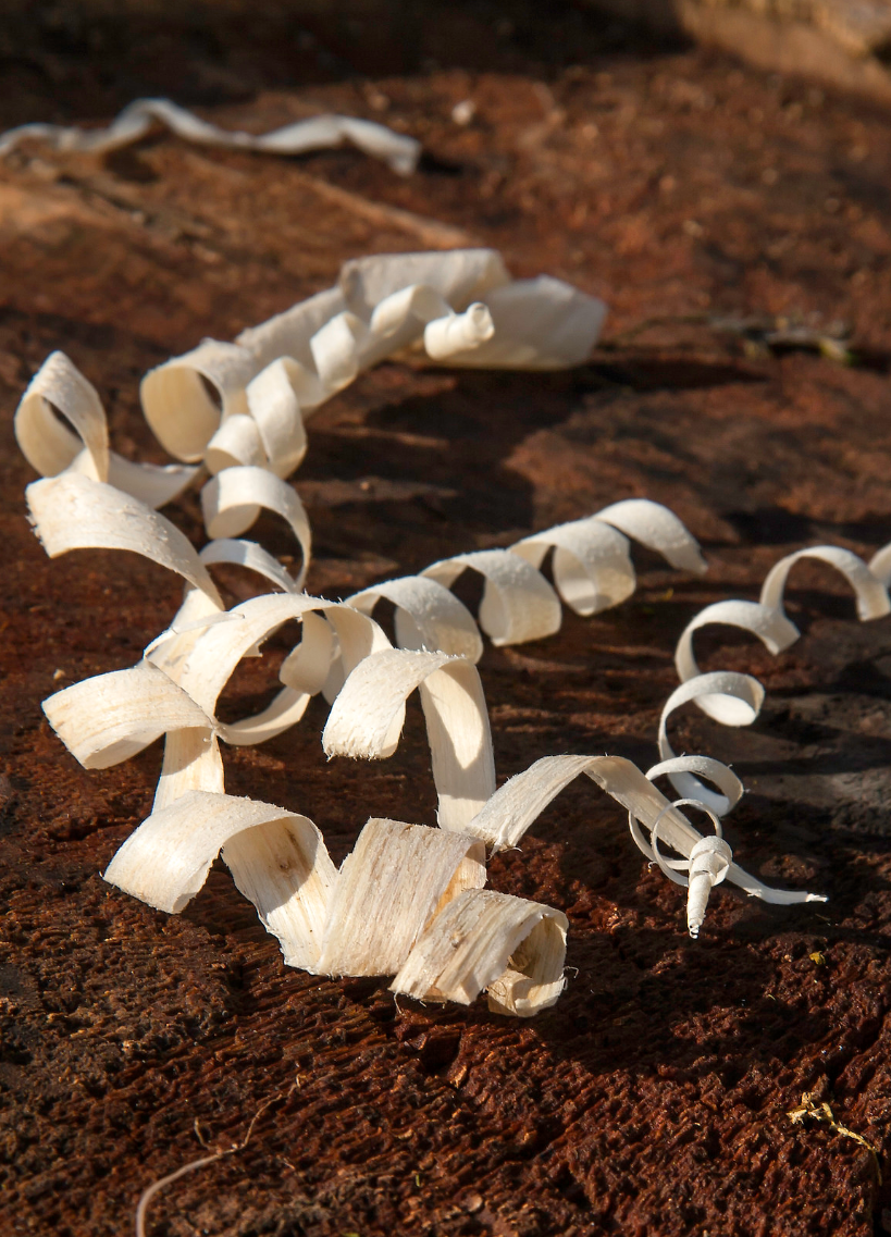 OSHA Cites Sawmill for Violations After Worker’s Death