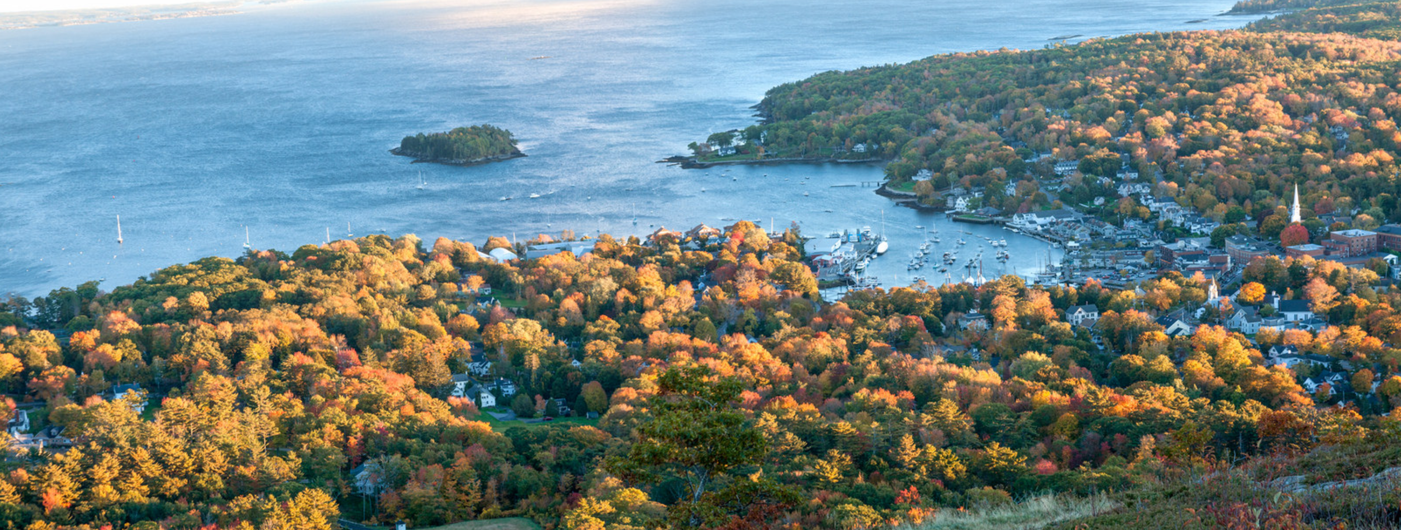 MEMIC Returns Largest Dividends to Policyholders in Their 25 Year History