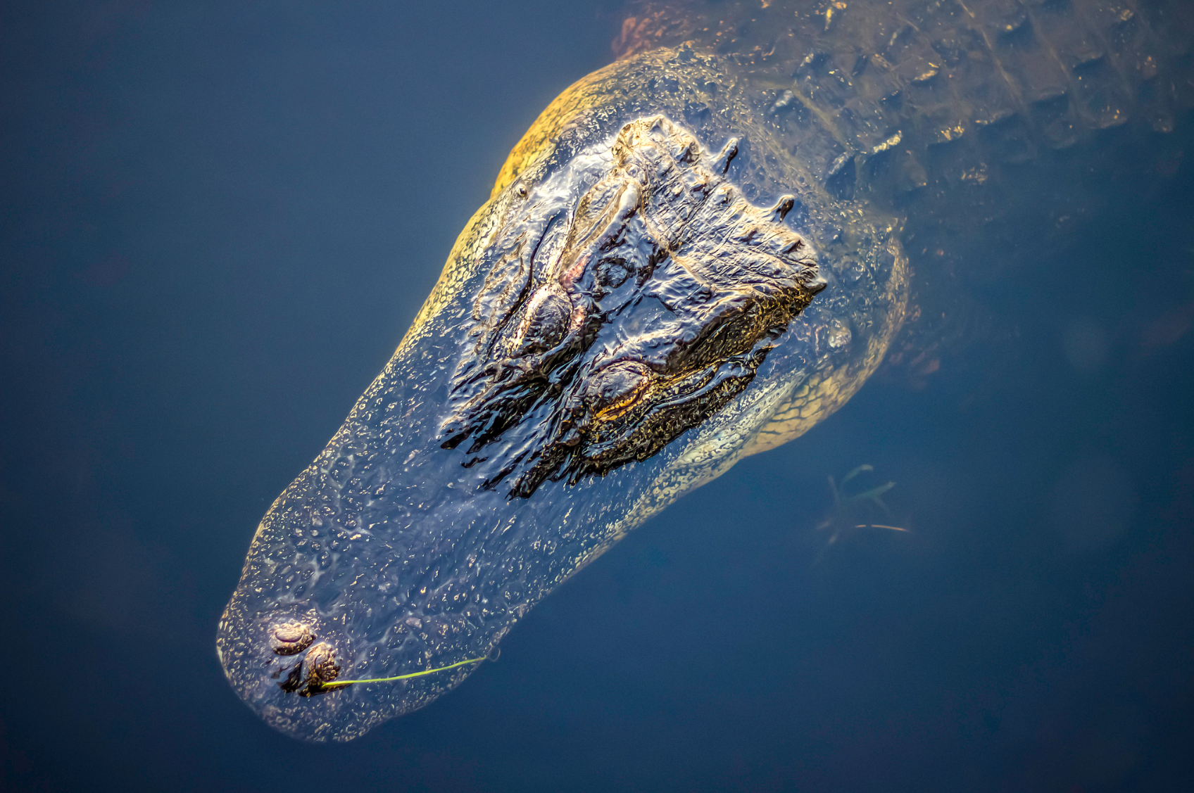 FL Regulators Approve 13.8% Rate Decrease Above and Beyond NCCI