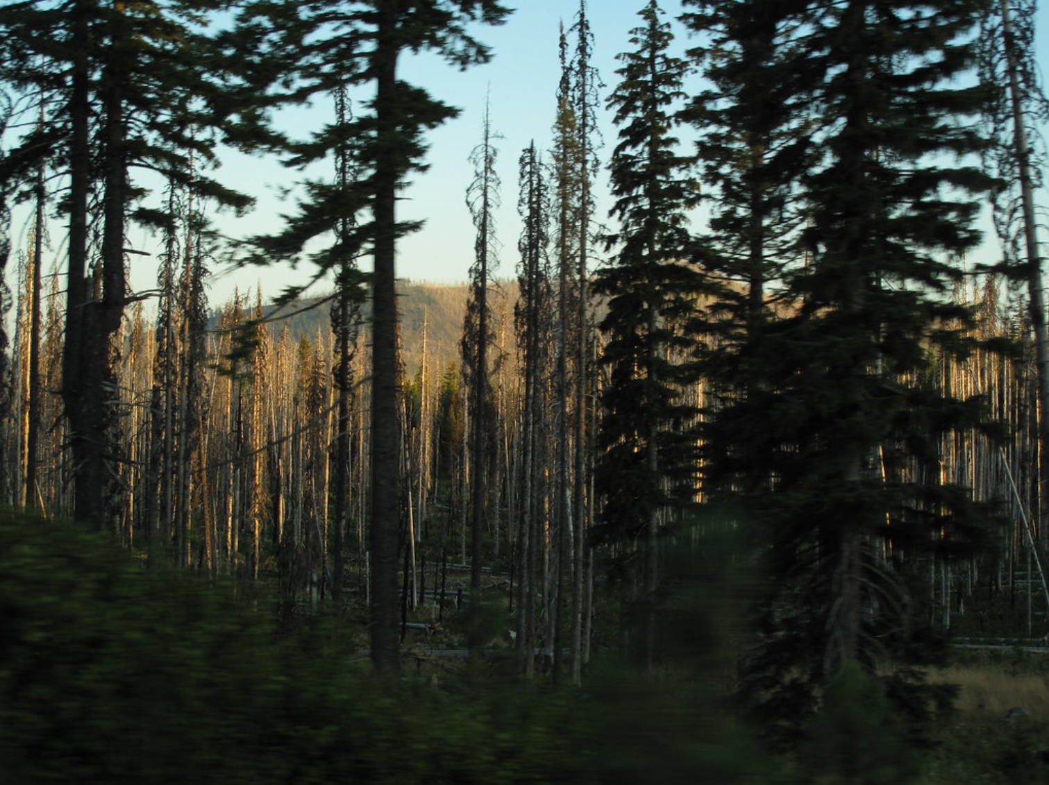 Oregon’s WC Costs to Decrease for Seventh Year in a Row