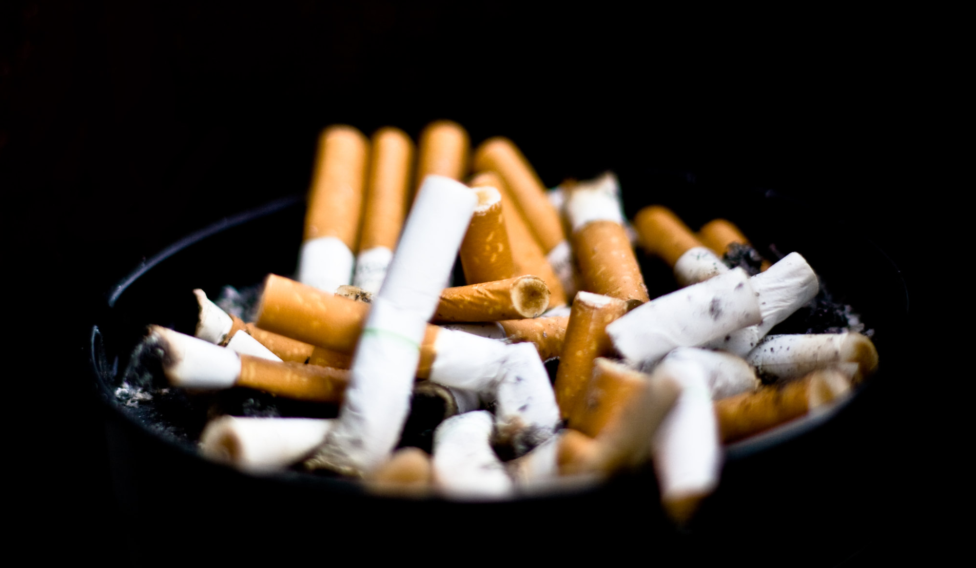 IME Doctor Doesn’t Need to be Board-Certified Pulmonologist to Give Valid Opinion on Lung Disease Causation